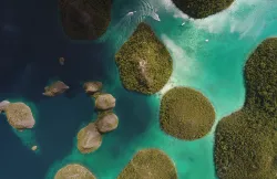 Freedom to Explore: 17 Natural and Cultural Destinations Across Indonesia